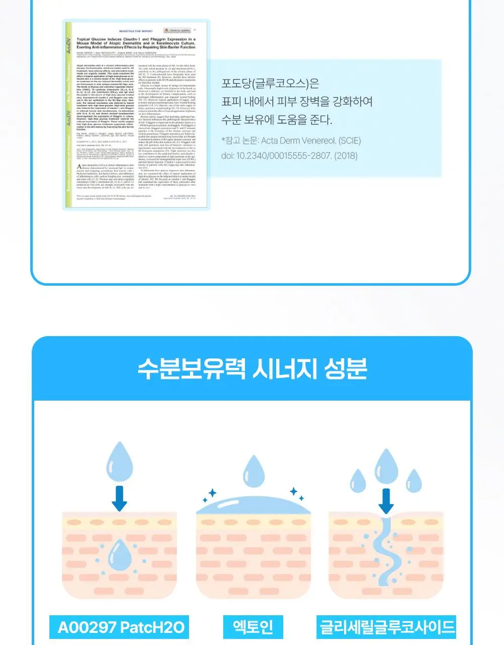 [NEW/수분회복]파티온 포도당 하이드로 액티브 세럼 70ml 기획(+리필40ml) 상세페이지 13
